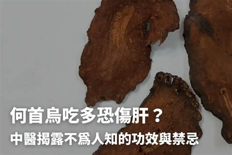 生首禁忌|何首烏秋冬進補怎麼吃？醫列功效禁忌＋何首烏藥膳做。